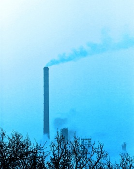 I 026C